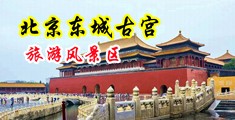 插逼逼视频中国北京-东城古宫旅游风景区